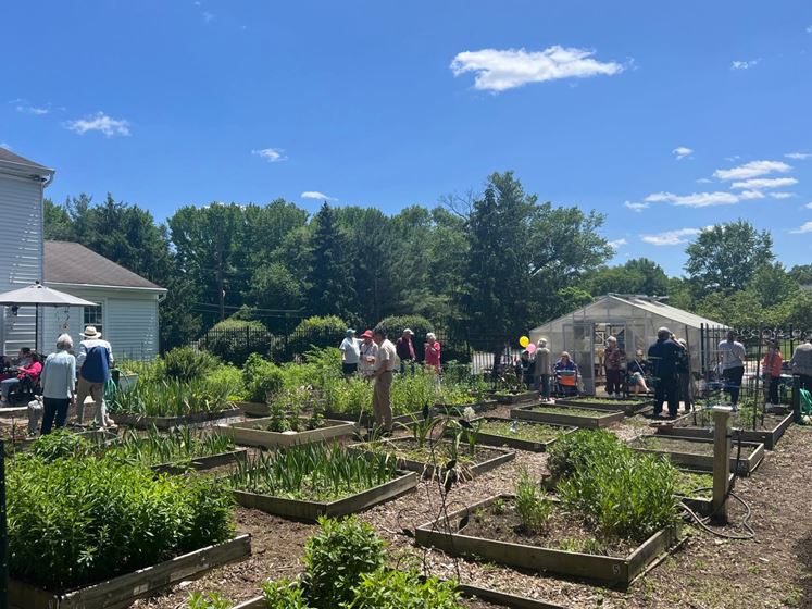 EG Garden Party 4X3