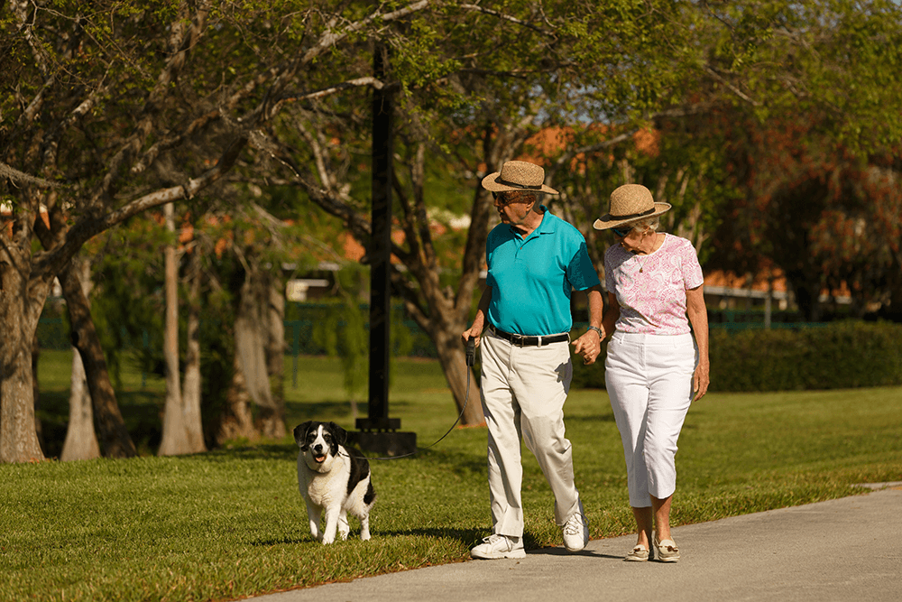 Dog Walking.png