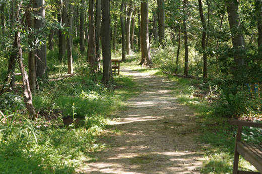 GE_Walking Trails.png